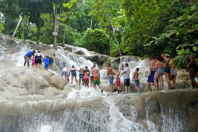 Dunns River Falls & Bob Marley - How the 8:00 am start and private setup keep your day on track