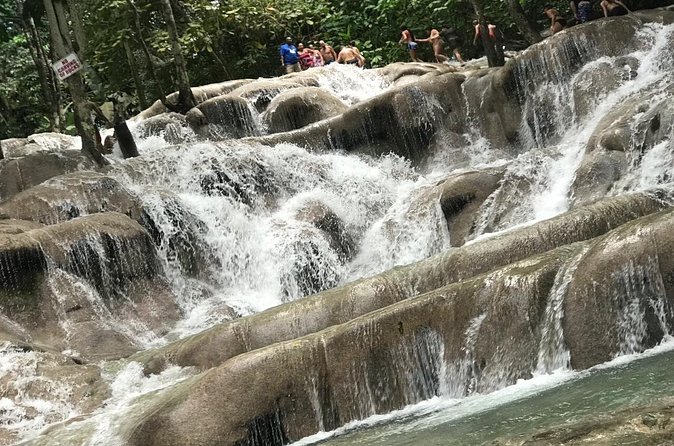 Dunns River Falls Experience from Montego Bay Resorts - Zipline above the tree line: worth considering, not required