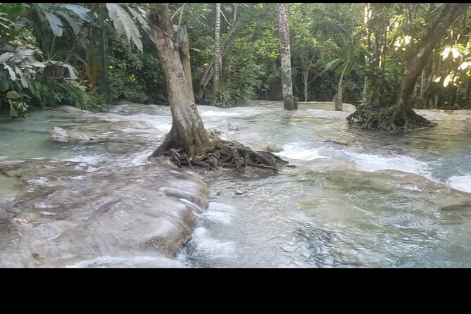 Dunns River Falls Experience from Montego Bay Resorts - Transport from Montego Bay: convenience with one expectation check