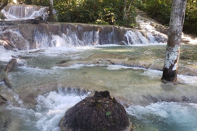 Dunns River Falls Experience from Montego Bay Resorts - Your half-day timing and what “about 4 hours” really means