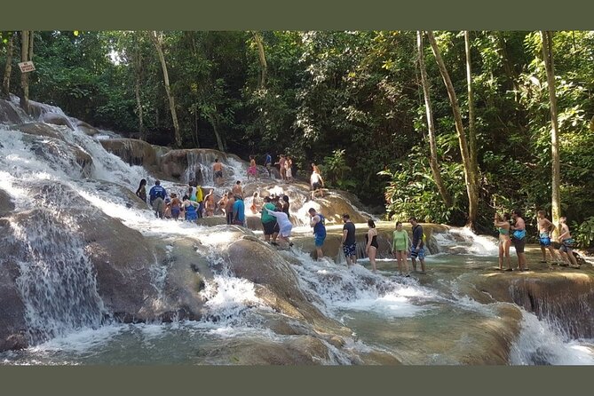 Dunns River Falls Private Day Tour - Who This Tour Fits Best in Real Life