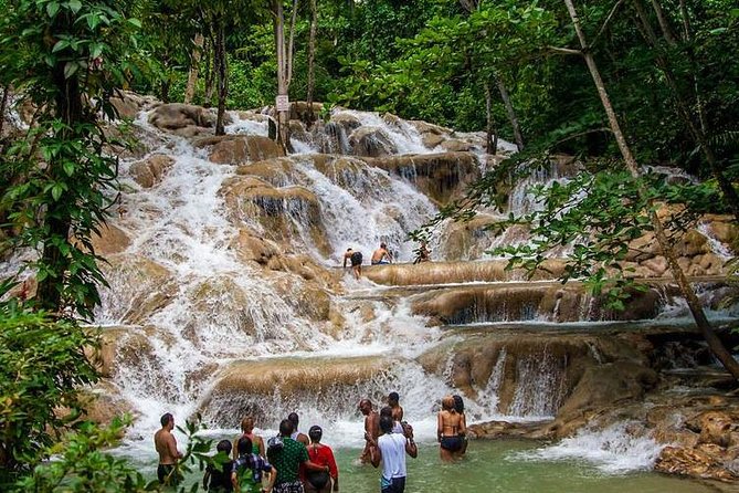 Dunns River Falls Scenic Tour - Quick highlights before you go
