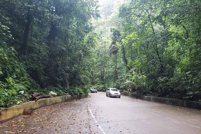 Dunns River Falls Scenic Tour - Kingston to Dunn’s River: Why this setup feels smarter