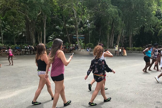 Dunns River Tour - Private tour setup from Montego Bay, without the headache