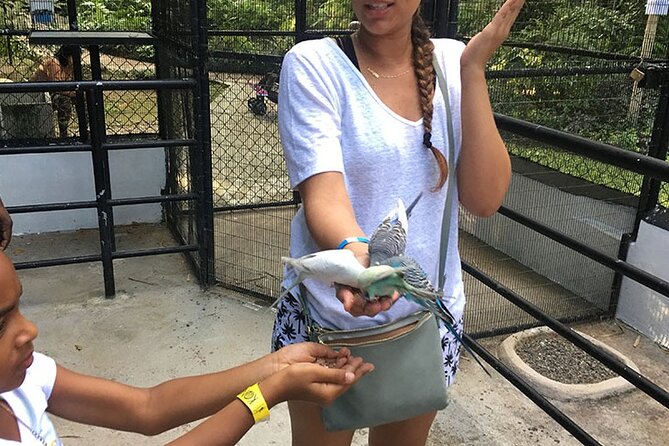 Eco Explorers Waterfall, Rainforest, local Shopping with lunch - Stop 1: Konoko Falls and park walk, photos and guided nature