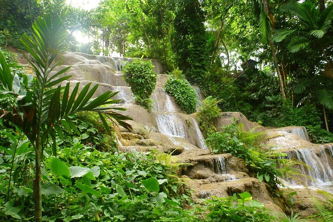 Eco Explorers Waterfall, Rainforest, local Shopping with lunch - Taj Mahal Shopping Center: souvenirs plus rum and coffee samples