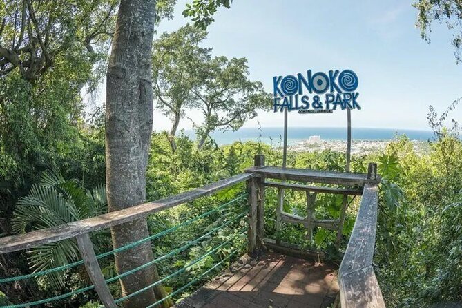Eco Explorers Waterfall, Rainforest, local Shopping with lunch - The quick stop for food at Courtney Taylor Private Tours