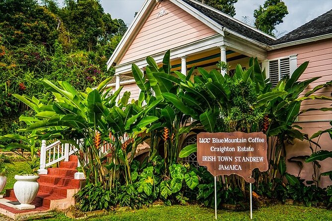 Exotic Blue Mountain Coffee Tour - Key highlights at a glance