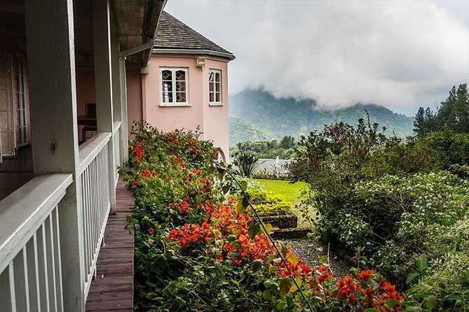 Exotic Blue Mountain Coffee Tour - Bob Marley Museum option for music lovers