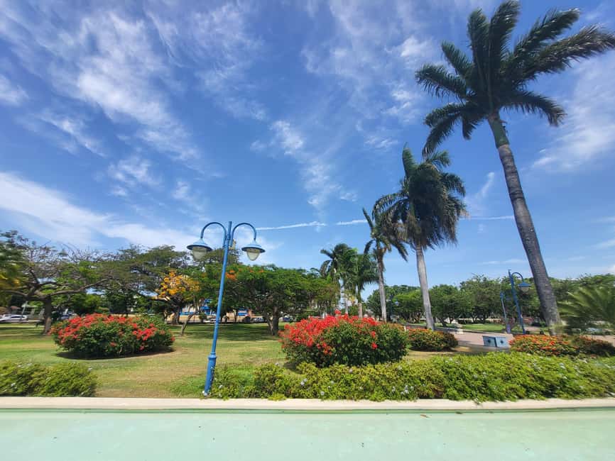 Explore Downtown Kingston and New Kingston: - Meeting across from Pegasus Hotel: quick start, clear guide