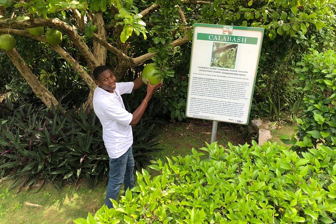Explore Montego Bay Jamaica Private Tour to Green Gratto Cave - Price and Value: What You’re Really Paying For