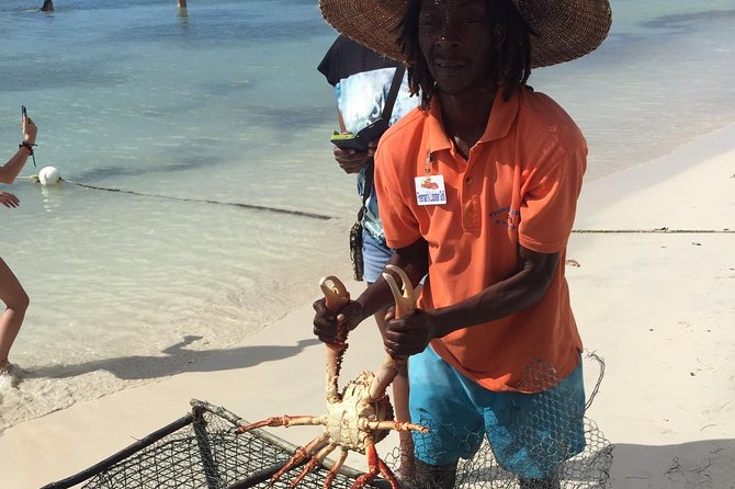 Explore Montego Bay Jamaica to Negril Beach & Ricks Cafe Sunset - Key highlights to look for