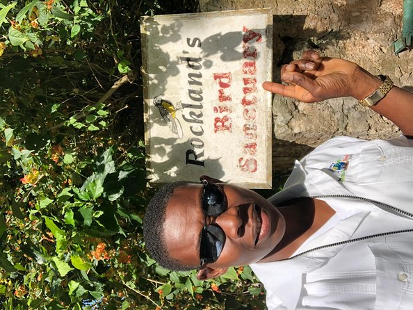 Explore Montego Bay Private Highlight Tour from Montego Bay - Markets, shopping stops, and how to avoid turning a tour into a store run