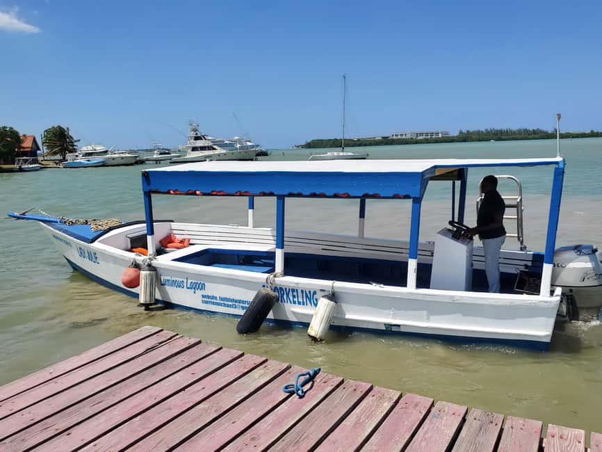 Falmouth: Luminous Lagoon Boat Tour - Booking confidence: flexible plans help