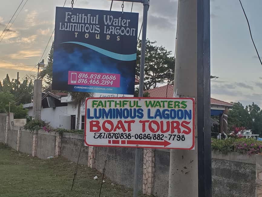 Falmouth: Luminous Lagoon Boat Tour - Price and value: is $25 a fair deal