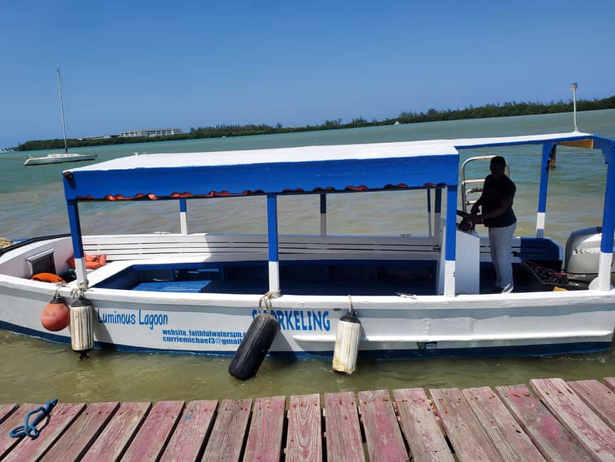 Falmouth: Luminous Lagoon Boat Tour - What to bring, what to expect before you go