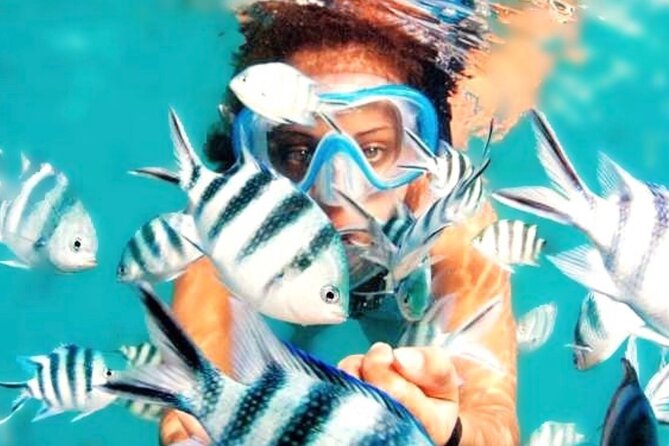 Family Fun-Snorkeling with Lunch Stop from Montego Bay - How the Montego Bay Pickup and Speedboat Set the Tone