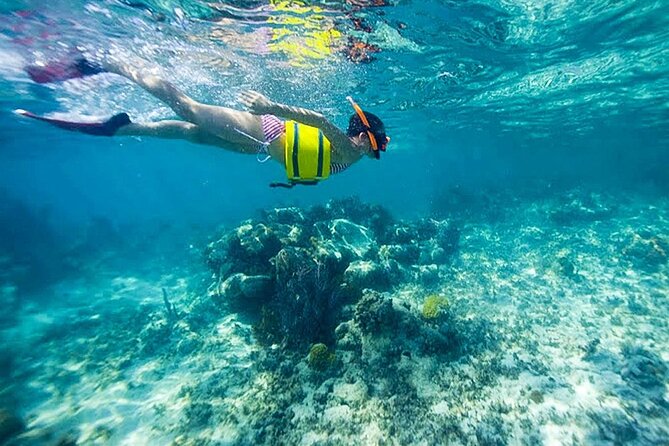 Family Fun-Snorkeling with Lunch Stop from Montego Bay - Lunch or Early Dinner Stop: Turning a Swim Day Into a Real Meal