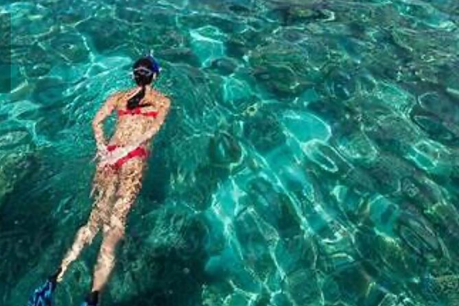 Family Fun-Snorkeling with Lunch Stop from Montego Bay - Private Transportation Value: Why This Tour Feels Easy