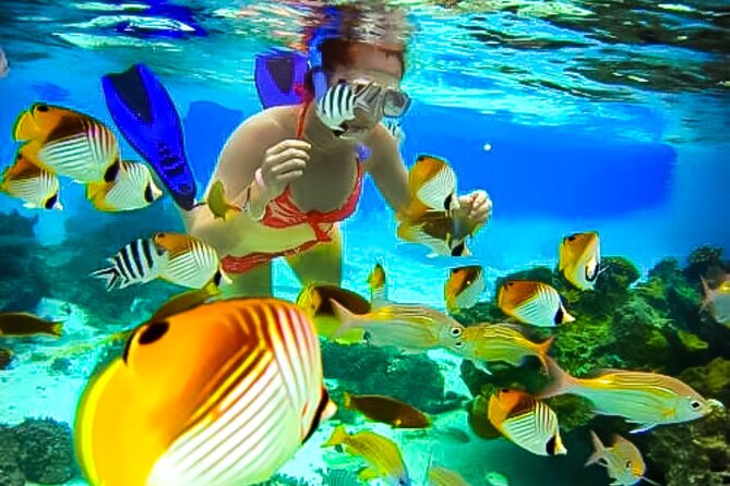 Family Fun-Snorkeling with Lunch Stop from Montego Bay - The Coral Reef Snorkel Window, About 60 Minutes, and How It Feels
