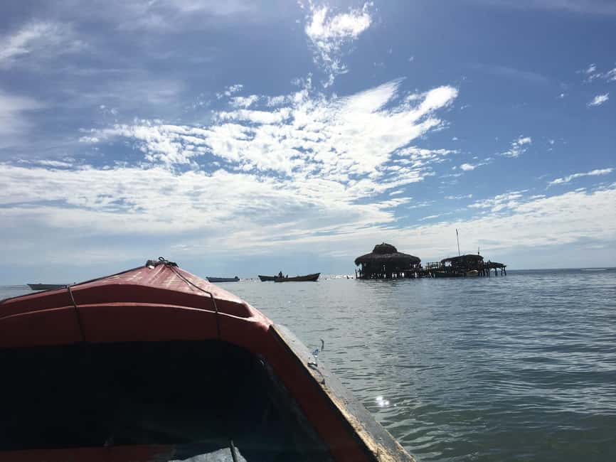 Floyd’s Pelican Bar, Ys Falls and Black River Safari Tour - Black River Safari by Pontoon: Mangroves, Jungle, and Crocodile Odds