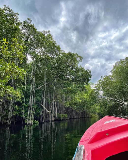 Floyd’s Pelican Bar, Ys Falls and Black River Safari Tour - How the Private Format Changes Your Day