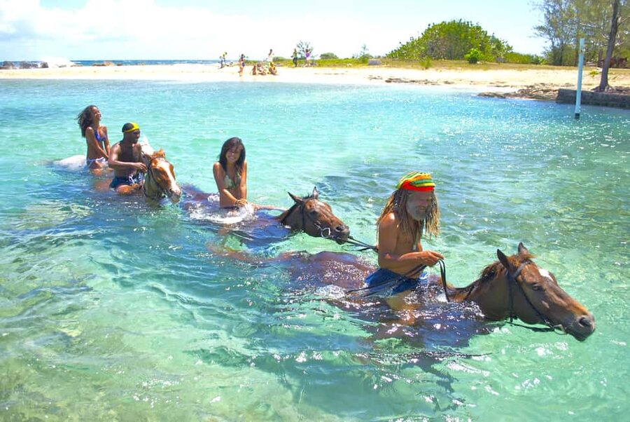 From Falmouth: Horseback Ride and Swim Beach Trip - Key Points You’ll Actually Care About