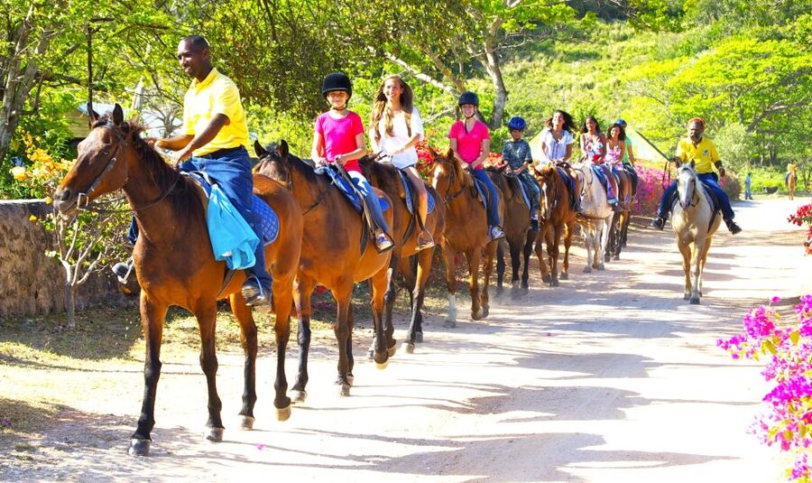 From Falmouth: Horseback Ride and Swim Beach Trip - Who This Tour Suits Best, and Who Should Skip It