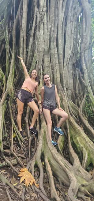 From Montego Bay: Blue Hole Waterfall Experience - Exploring on foot: hidden caves and the rainforest trail rhythm