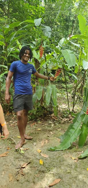 From Montego Bay: Blue Hole Waterfall Experience - Who this tour suits best, and who should skip it