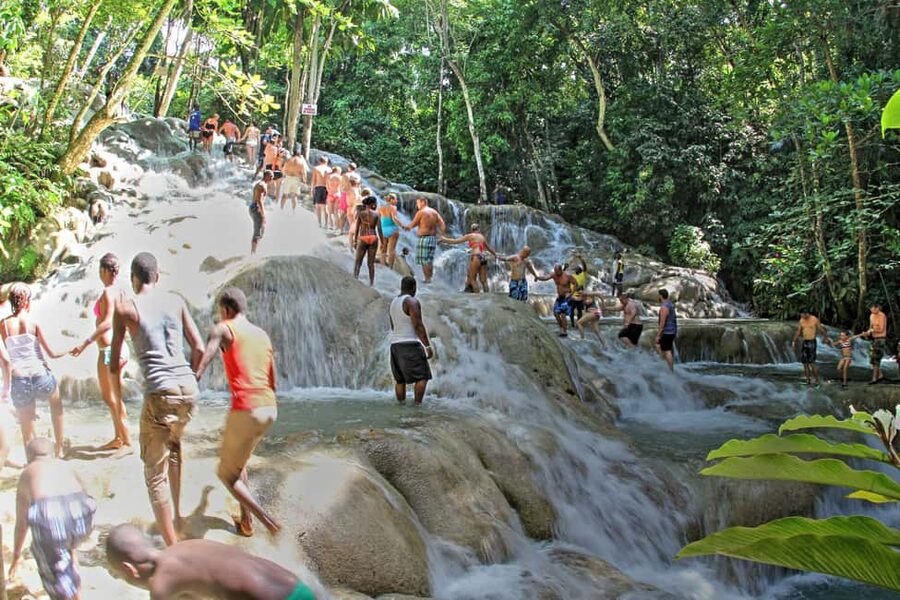 From Montego Bay: Dunn’s River Falls Experience - From Montego Bay to Ocho Rios: the van ride that keeps you sane