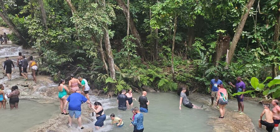 From Montego Bay: Dunn’s River Falls Experience - Who should book, and who should skip this waterfall day