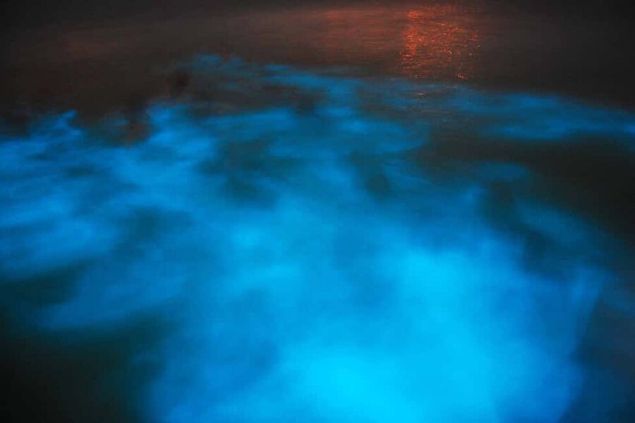 From Montego Bay: Luminous Lagoon Nighttime Boat Tour - The van ride: why the transfer is part of the show