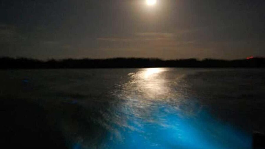 From Montego Bay: Luminous Lagoon Nighttime Boat Tour - From Montego Bay to Falmouth: the first part of the night
