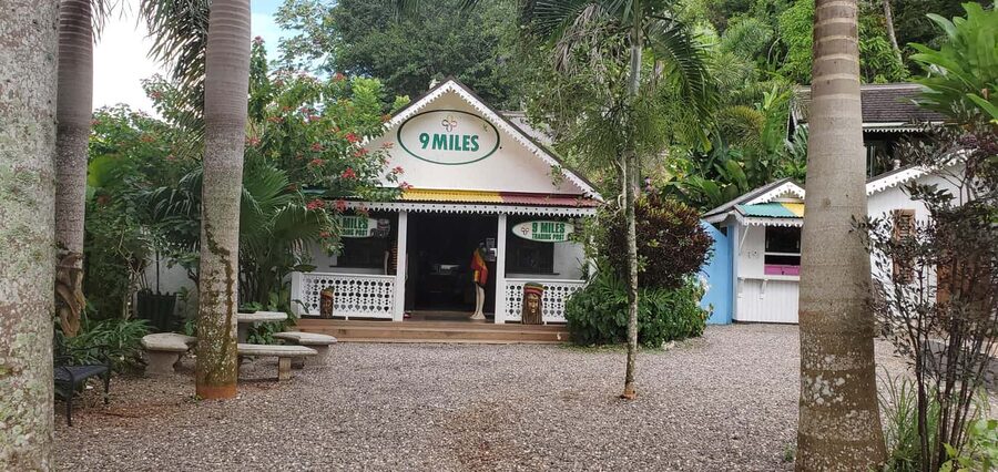 From Montego Bay: The Bob Marley Guided Tour of Nine Mile - Nine Mile village and the childhood home story