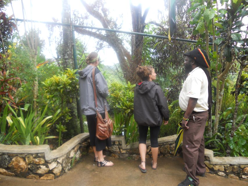 From Ocho Rios: Bob Marley & Dunn’s River Falls 6/7Hour Tour - Dunn’s River Falls Climb: The Human Chain Method