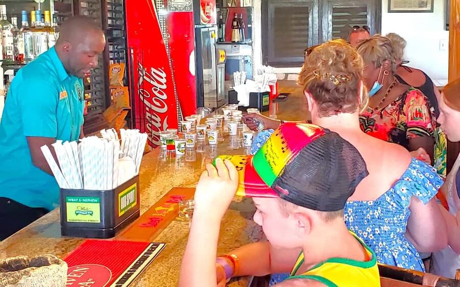From Runaway Bay: Bob Marley Mausoleum Guided Day Trip - What the Rastafarian culture portion adds