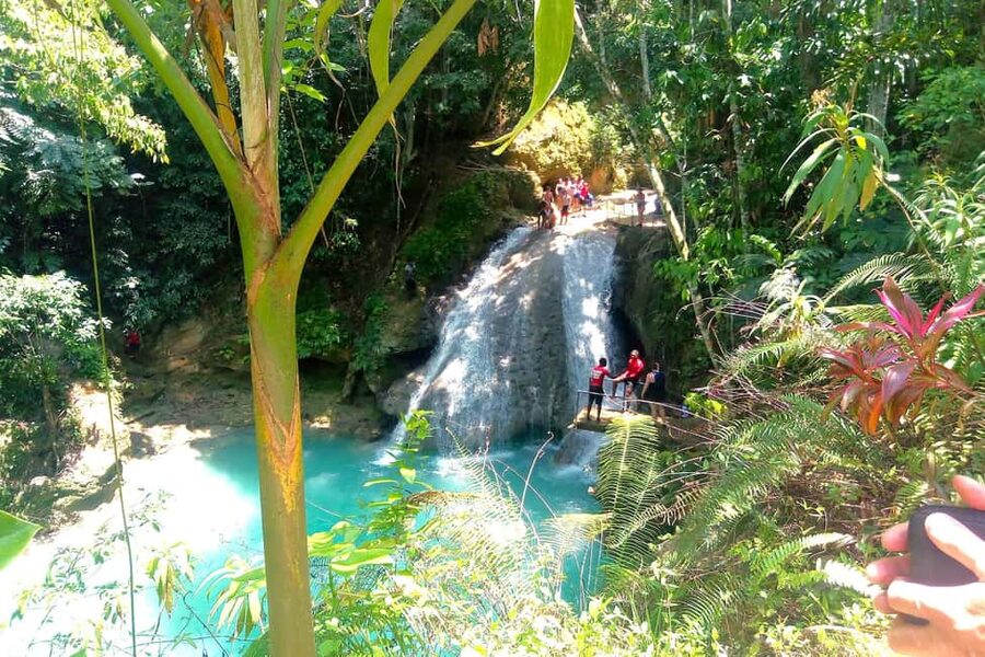 From Runaway Bay: Island Gully Falls and Blue Hole Tour - Price and What $180 Really Buys You