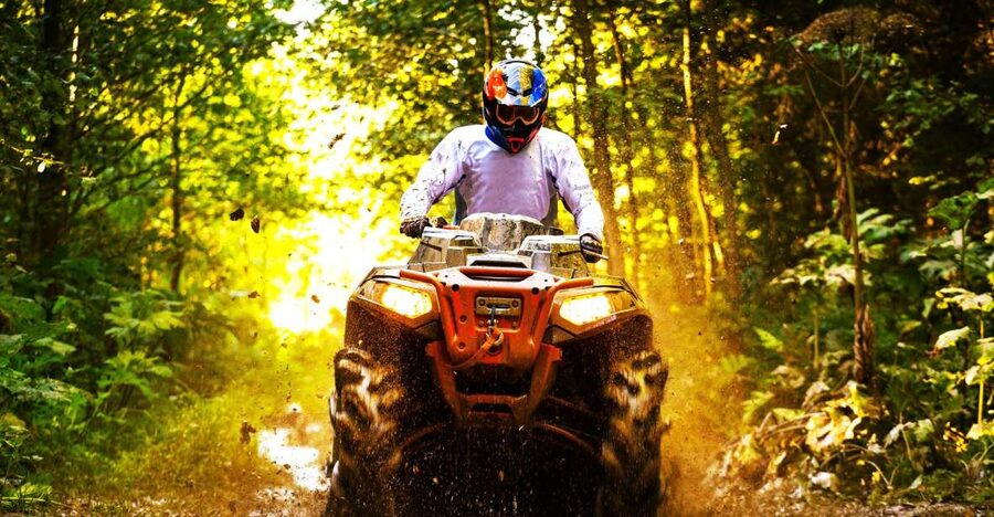 From Runaway Bay: Off Road Vehicle Adventure Tour - The Park Time: Gardens, Local Crops, and a Bird Aviary Overhead