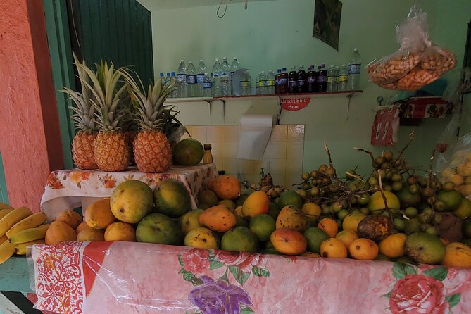 Full-Day Guided Tour to Dunns River Falls & shopping with lunch - Wet Climb vs Dry Walk: Choosing Your Pace Without Killing the Day