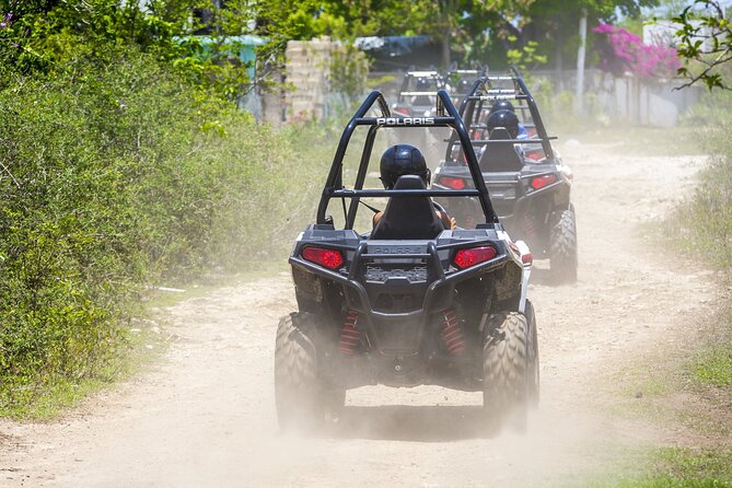 Full Day Jamwest Adventure Park with Welcome Drink - Jamculture Experience: nature, history, and tasting local favorites