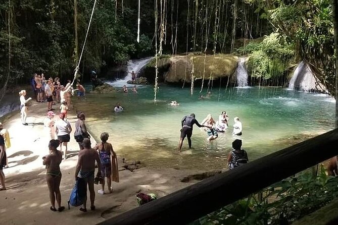 Full-Day South Coast - YS Falls, Pelican Bar & Black River Safari - Value and Price: Is $250.99 a Good Deal?