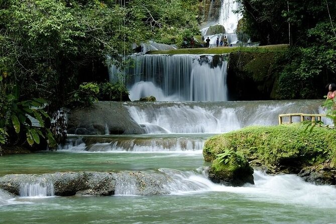 Full-Day South Coast - YS Falls, Pelican Bar & Black River Safari - Who This Tour Fits Best (and Who Might Want Something Else)