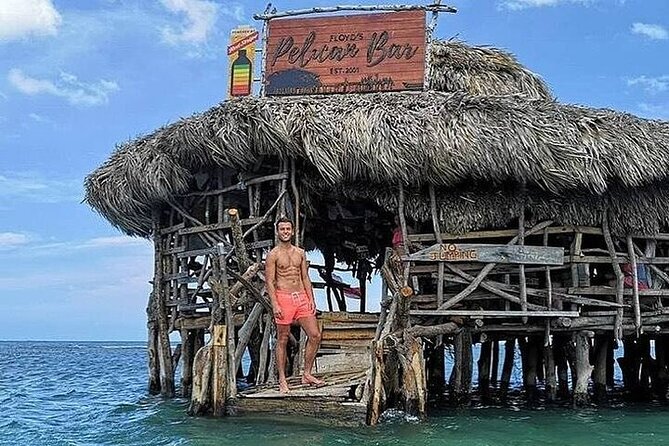 Full-Day South Coast - YS Falls, Pelican Bar & Black River Safari - My Practical Tips Before You Go