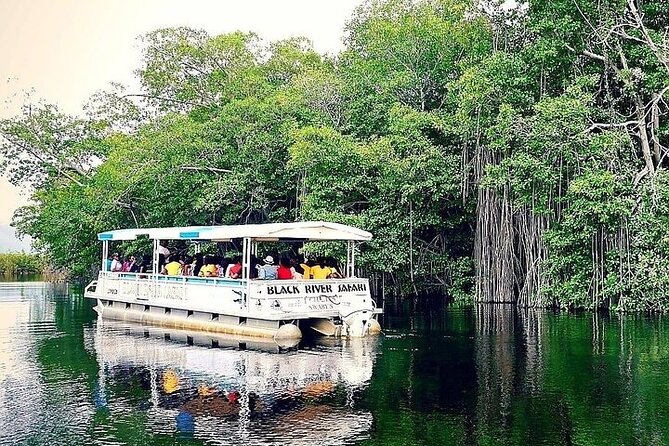 Full-Day South Coast - YS Falls, Pelican Bar & Black River Safari - Black River Safari: Mangroves, Crocs, and a Scenic Wildlife Boat Ride