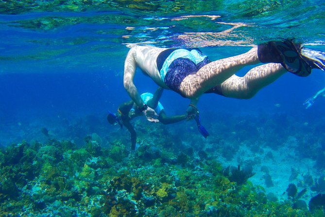 Glass Bottom Boat Ride/Snorkeling/Booby Cay Island from Negril - Key points before you go