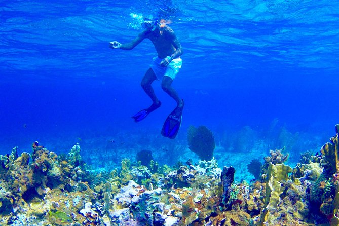 Glass Bottom Boat Ride/Snorkeling/Booby Cay Island from Negril - Where you meet near Seven Miles Beach, and how pickup shapes the morning