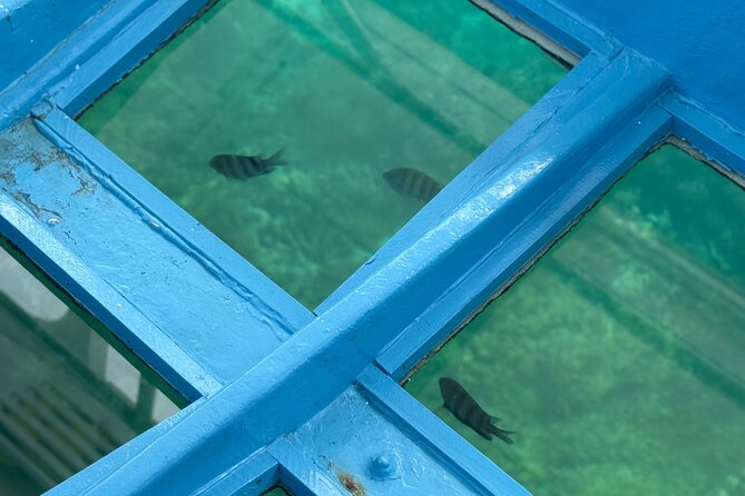 Glass bottom Boat Tour and Snorkeling Experience in Montego Bay - Price and Value: What $110 Buys in Montego Bay