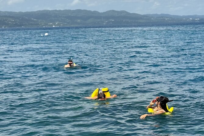 Glass bottom Boat Tour and Snorkeling Experience in Montego Bay - Your 2-Hour Private Tour Schedule, Including Pickup