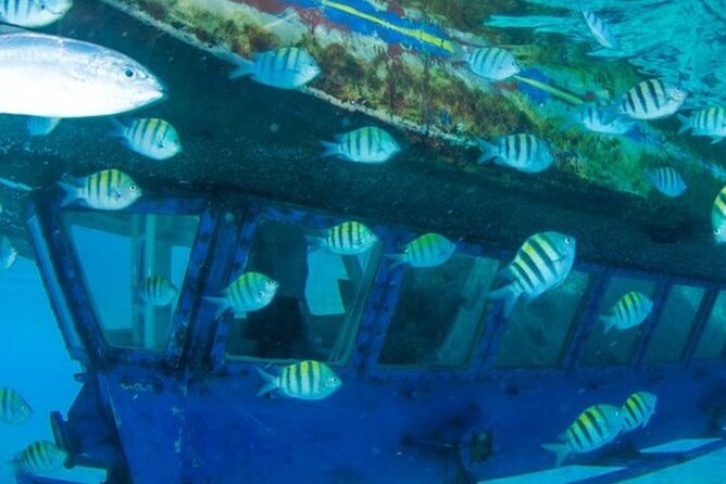 Glass Bottom Boat Water Activity in Montego Bay Jamaica - Montego Bay Shoreline Scenes You Pass Along the Way